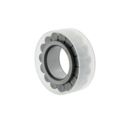 Roulements à rouleaux cylindriques RSL185011 ID 55mm AD 83,54mm Largeur 46mm INA
