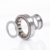 Roulements à rouleaux cylindriques NUP2215 EM1C3 ID 75mm AD 130mm Largeur 31mm FAG
