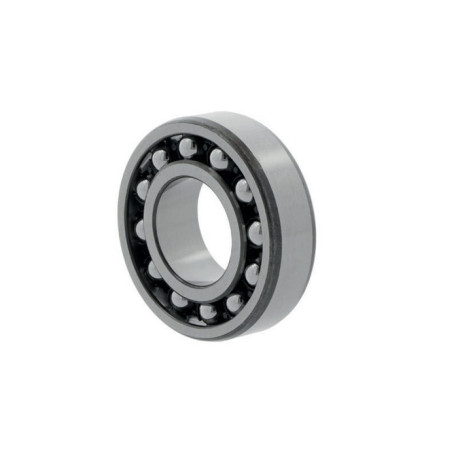 Roulement à rotule sur billes 1207 EKTN9 ID 35mm AD 72mm Largeur 17mm SKF
