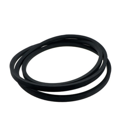 Courroie trapézoïdale enrobée 25X6500 2,814kg SWR