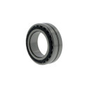 Roulements à rouleaux cylindriques NN3010 TN/SPW33 ID 50mm AD 80mm Largeur 23mm SKF