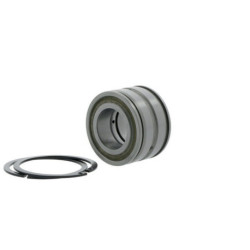 Roulements à rouleaux cylindriques SL045040 -D-PP-2NR ID 200mm AD 310mm Largeur 150mm INA