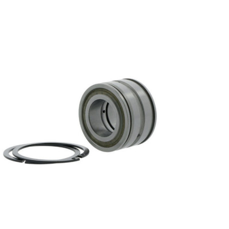Roulements à rouleaux cylindriques SL045040 -D-PP-2NR ID 200mm AD 310mm Largeur 150mm INA