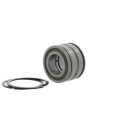 Roulements à rouleaux cylindriques SL045040 -D-PP-2NR ID 200mm AD 310mm Largeur 150mm INA