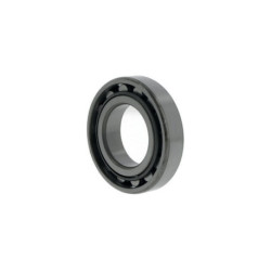 Roulements à rouleaux cylindriques N209 ID 45mm AD 85mm Largeur 19mm NACHI