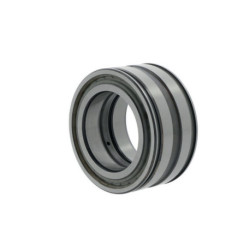 Roulements à rouleaux cylindriques SL045032 -D-PP-C3 ID 160mm AD 240mm Largeur 109mm INA