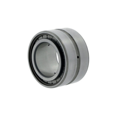 Roulements à rouleaux cylindriques SL185005 -C3 ID 25mm AD 47mm Largeur 30mm INA