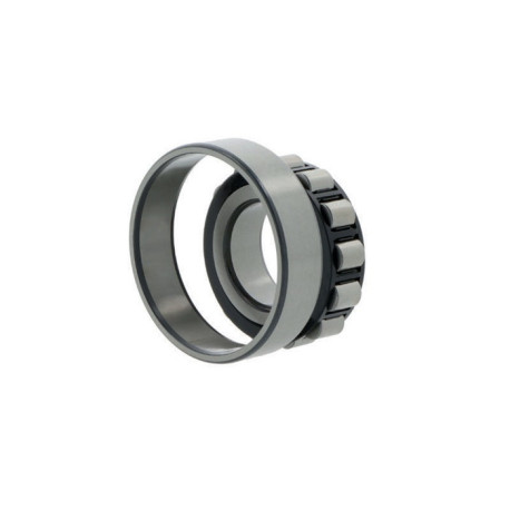 Roulements à rouleaux cylindriques N305 ECP ID 25mm AD 62mm Largeur 17mm SKF