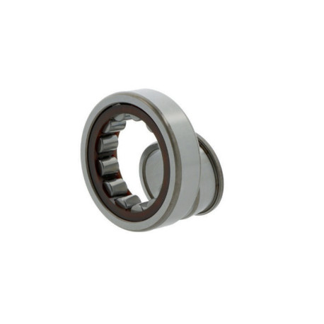 Roulements à rouleaux cylindriques NJ303 ECP ID 17mm AD 47mm Largeur 14mm SKF