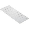 Plaque perforée 300x100x2.0 mm (Par 10)
