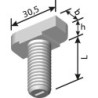Vis à tête marteau HS 38/17 Acier inoxydable A4 M12x 30 (Par 100)