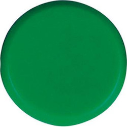 Aimant d'organisation rond vert 30mm Eclipse