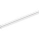 Queue d'aronde 103-3mm silicone brun. Diamètre 4. L100mtr