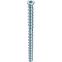 Vis fraisée Inox HECO-MULTI-MONTI MMS-TC 10,0x130 TD zn-bl T-45 (Par 25)