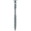 Vis terrasse tete cylindrique TX15 Inox Trempé avec homologation, 905535 5,5 x 60 (Par 200)