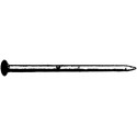 Clou galva 5,5x160 a 5,0kg (Par 5)