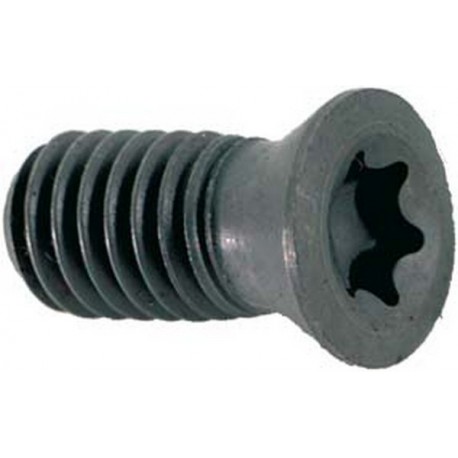 Pièce de rechange pour fraise à chanfreiner de 45° à arrosage central, vis à empreinte TORX® pour plaquette CPMT 05T1...