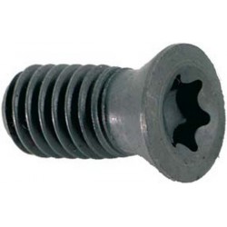 Vis à empreinte TORX® pour plaquette amovible, Modèle : Vis à empreinte TORX® pour plaquette amovible