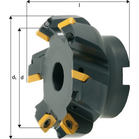 Fraise à surfacer à 45° arrosage interne, Ø d : 100 mm, Nombre de dents 6, Ø du perçage de positionnement 32 mm, Dimensions Ø d1 : 113 mm