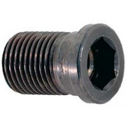 Pièces de rechange, porte-outil SO 95° SCLCR/L, Modèle : Douille taraudée 6 pans