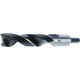 Foret bois SP 11x142mm Fisch