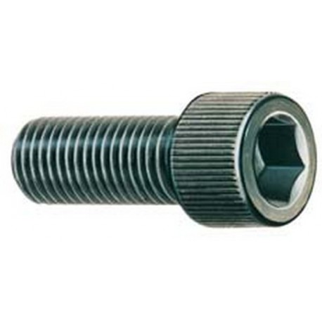 Vis de fixation pour mandrin à 3 mors DURO-T, Filetage : M12 x 1,5 x 30, Taille 250 mm