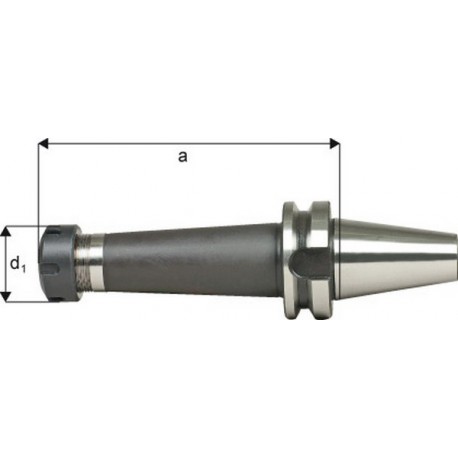 Mandrin à pinces, type ER DIN 2080 avec arrosage central, Capacité de serrage : 2,0-20,0 mm, MAS-BT 50, Pince de serrage ER32, a : 100 mm, d1 : 50 mm