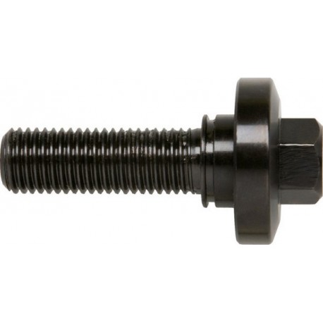 Accessoires pour boulons de serrage, Modèle : Vis de serrage de 8 à 40 mm
