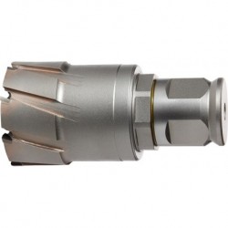 Fraise HM QuickIn MAXØ 54x50mm Fein