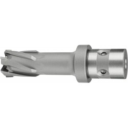 Fraise HM QuickIn Ø 61x35mm Fein