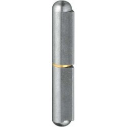 Gond de porte KO 41 120mm 2- unités avec carré laiton