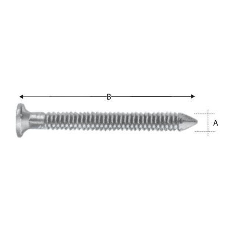 Vis inoxydable CNA40x40S (Par 250)