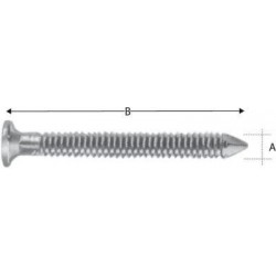 Vis inoxydable CNA40x50S (Par 250)