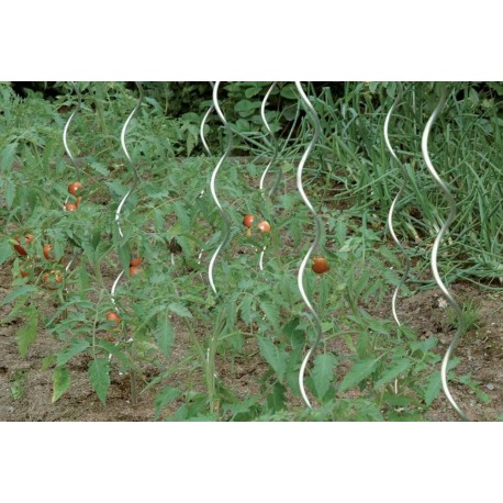 Tuteur tomates 150 cm galvanisé CircumPRO (Par 10)