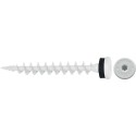 Vis de plaque isolante IPS 80 Blanc (Par 50)