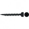Vis de plaque isolante IPS 80 noir (Par 50)