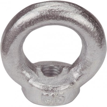 Piton DIN 582 acier inoxidable A4 M6 HP (Par 10)