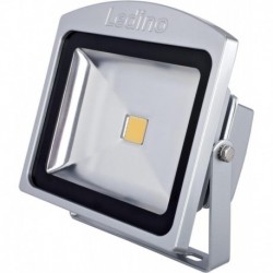 Projecteur LED 30W, 6500K, argent
