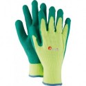 Gants. Fitter StampAcryl, Latex,  Taille  11 (Par 12)