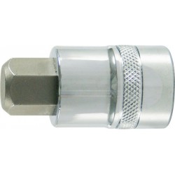 Embout de vissage 1/4'' pour vis femelle à 6 pans, poli, Cote s/plats : 8* mm, Long. 30 mm