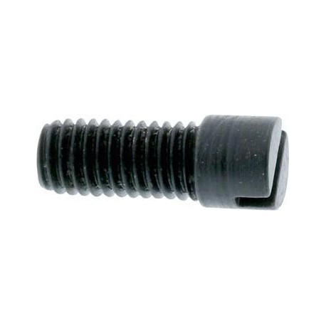 Vis de fixation pour support T A SRW 1 PCS