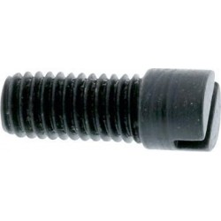 Vis de fixation pour support taille C SRW 1 PCS