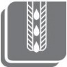 Barre d'alésage ISO 95° A..-PWLNR/L, à arrosage interne, Désignation : A25R PWLNR 08, Ø queue - dg7 25 mm, Dimensions Ø min. 32 mm