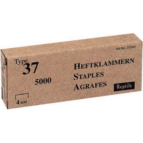 Agrafe n° 37 (13), acier, Long. : 6 mm