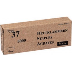 Agrafe n° 37 (13), acier, Long. : 8 mm