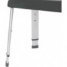 Tabouret douche Secura Premium Antracite