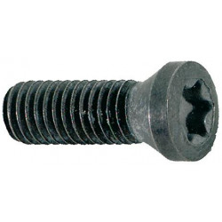 Vis de serrage pour insert M3x73 T08