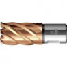 Foręt couronne VARIOPlus court KBK HSS axe Weldon 23/30mm BDS