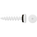 CELO Vis isolante IPS-H 55 Signal blanc RAL 9003 (Par 50)