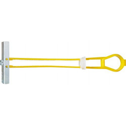 CELO Cheville cavité BT plus M6 (Par 30)